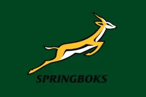 south africa national rugby union team — ZA news