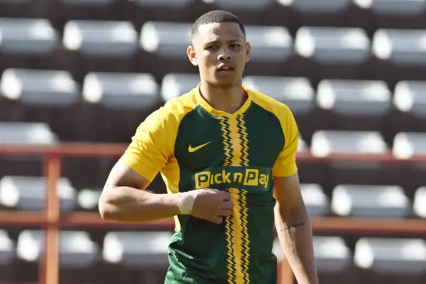 Breytie hails Rassie’s bold Bok blueprint