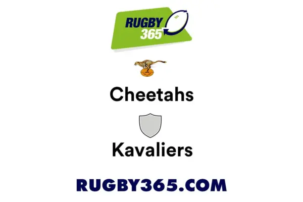 Cheetahs book home semifinal
